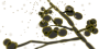 Anzeigebild