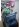 Bild1