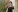 Anzeigebild