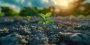Adobe Stock 821636591