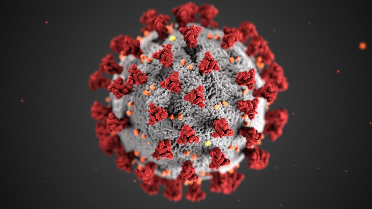 rotweisser Virus