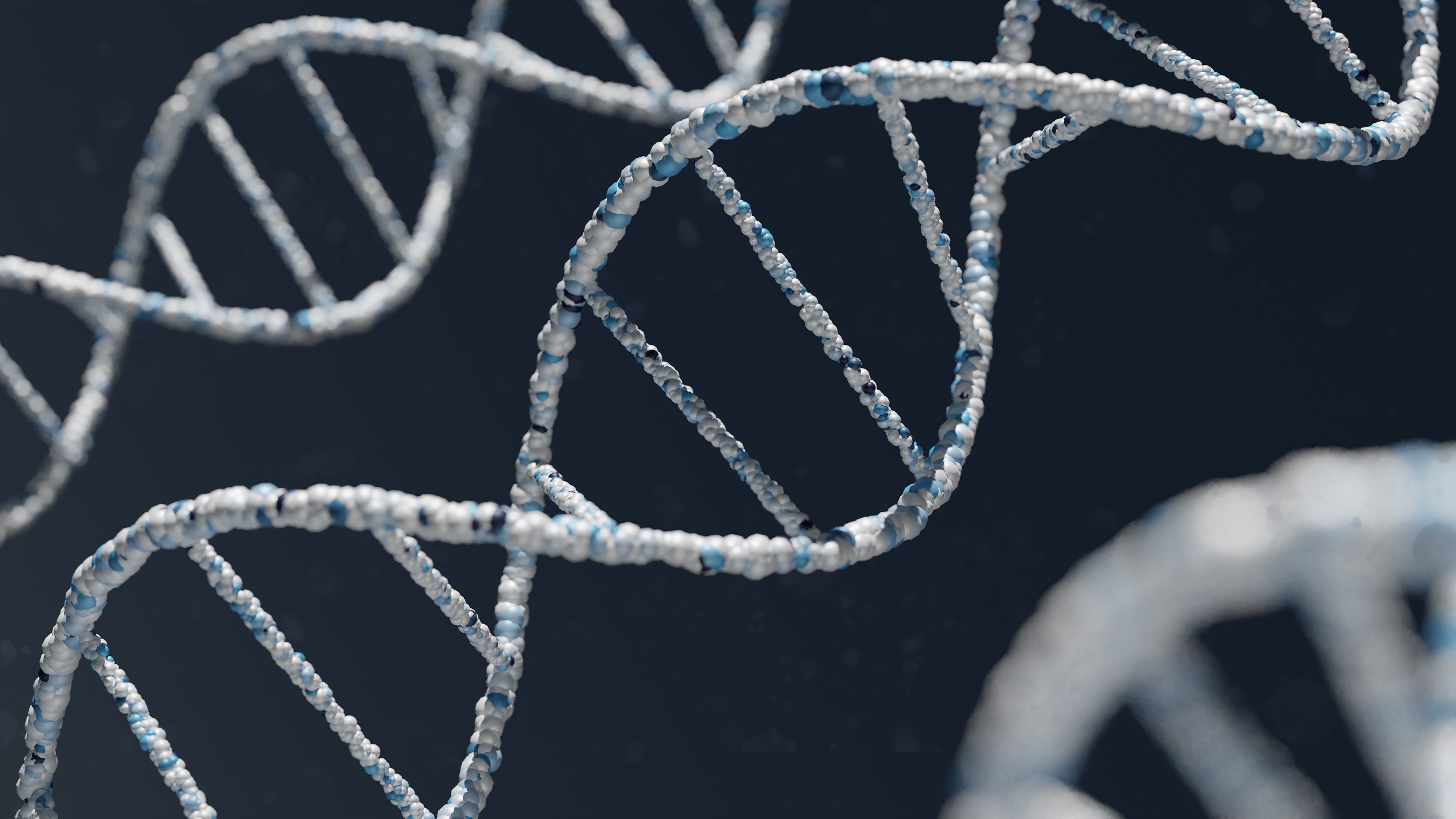 Brin d'ADN avec chaînes protéiques visibles