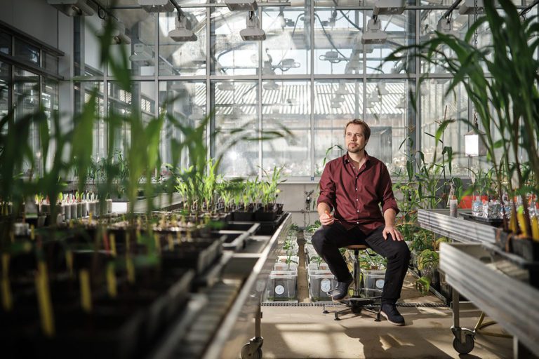 Professor of plant science and mountain farmer Matthias Erb, sitting among plants in the Ostermundigen research greenhouse.
