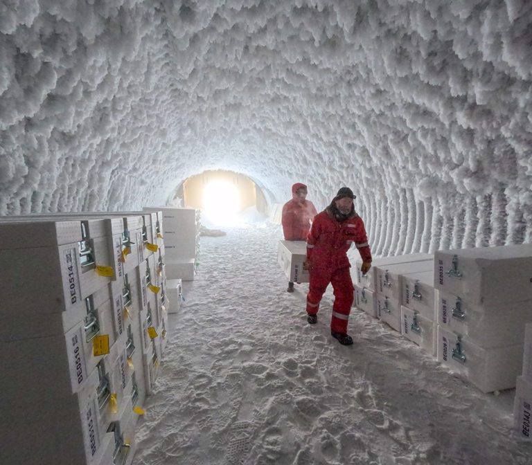 Deux collaborateurs portent les noyaux de glace coupés en morceaux, prêts à être transportés en Europe.