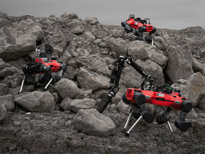Rot-schwarze Roboter in einer steinigen Landschaft
